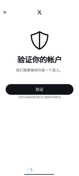 X账号创建